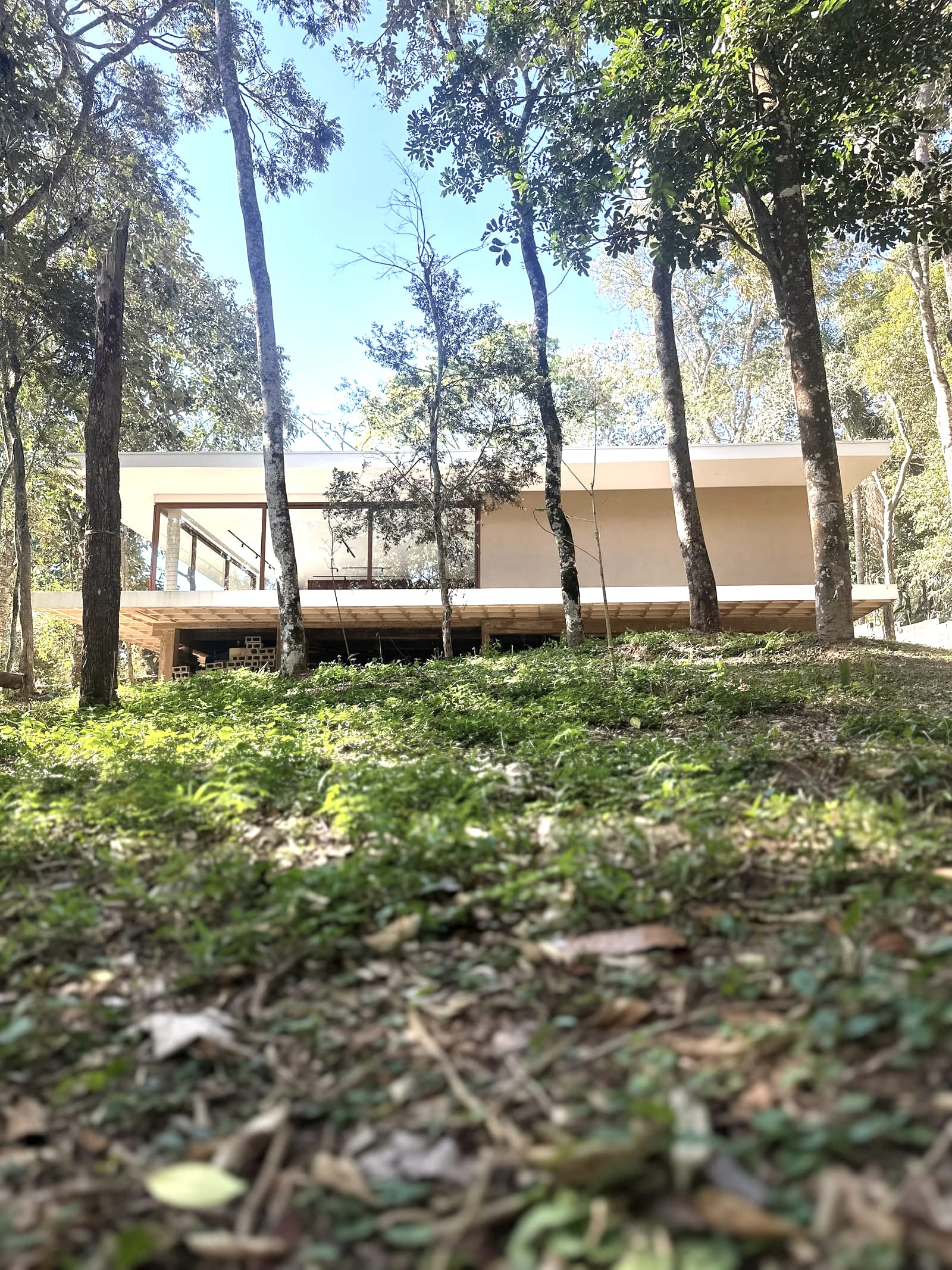 A casa na encosta entre as árvores