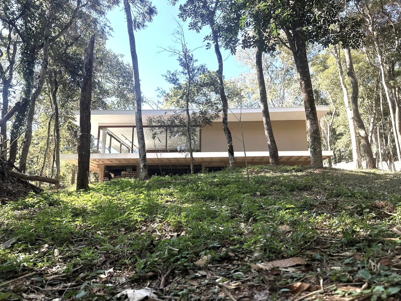 Warre Haus — a primeira Beehaus construída e habitada