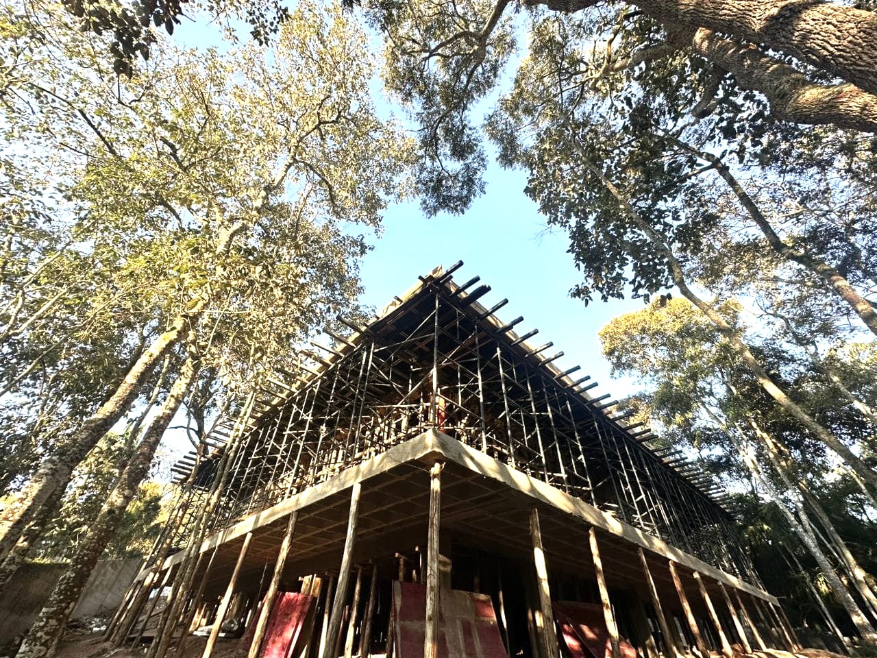 Cobertura em estrutura de madeira ganhando forma